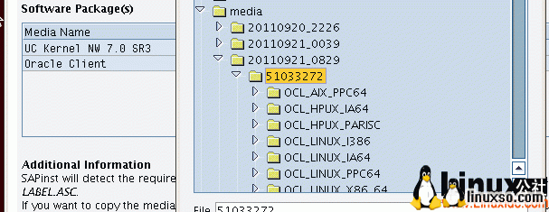 RedHatװ,Oracleװ,RedHat+Oracle+SAP Netweaver װ
