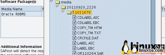 RedHatװ,Oracleװ,RedHat+Oracle+SAP Netweaver װ