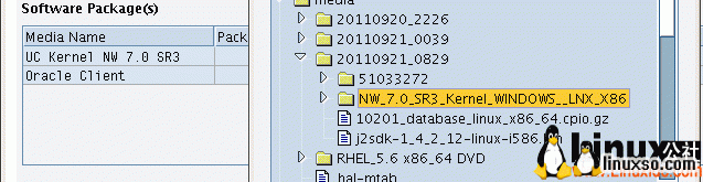 RedHatװ,Oracleװ,RedHat+Oracle+SAP Netweaver װ